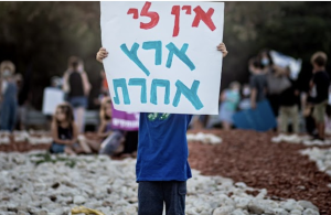 A child holding a sign that reads: I don't have another land, in Hebrew